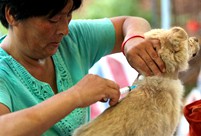 One woman’s fight against dog eaters