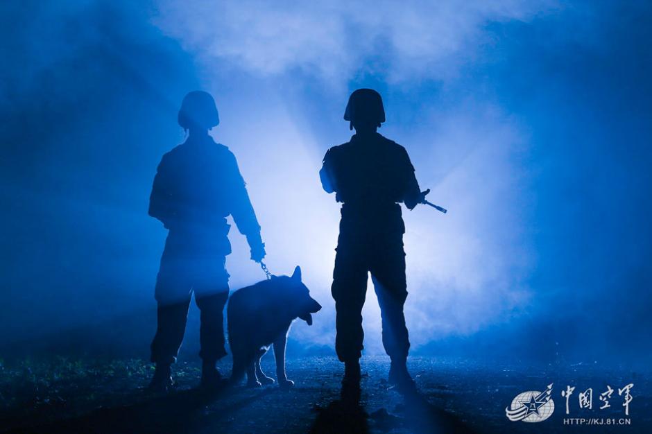 Military dogs of PLA Air Force in training