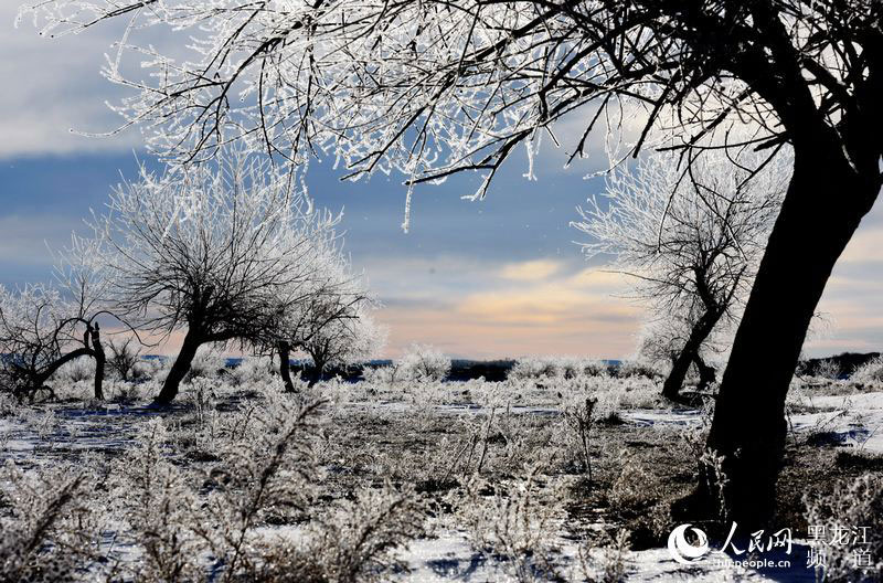 Rime scenery along the Heilongjiang River