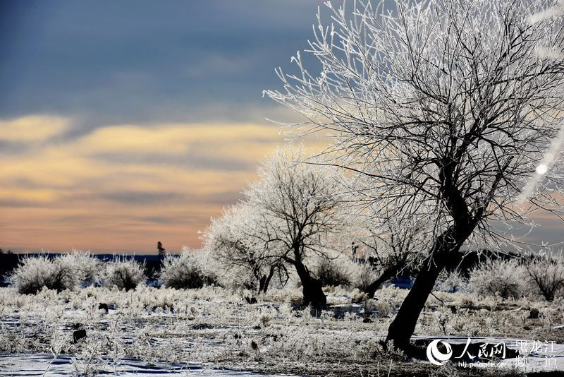 Rime scenery along the Heilongjiang River