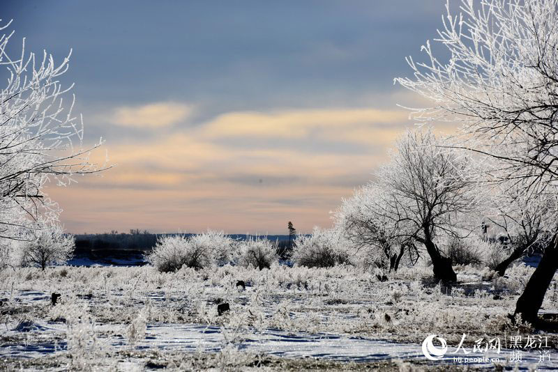 Rime scenery along the Heilongjiang River