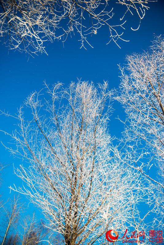 Breathtaking rime view in Heilongjiang