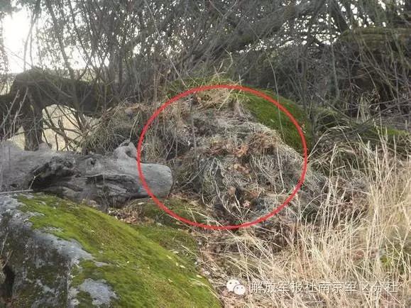 Can you find out the sniper hiding in camouflage?