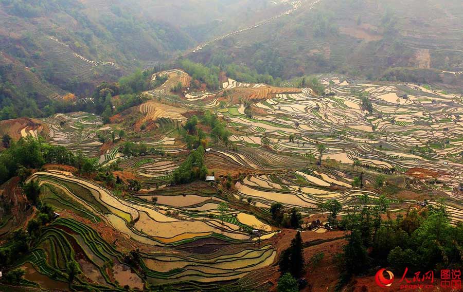 Breathtaking terrace scenery in Yunnan
