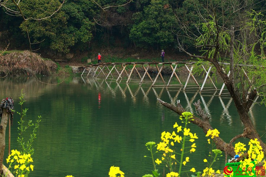 Intoxicating Wuyuan in spring
