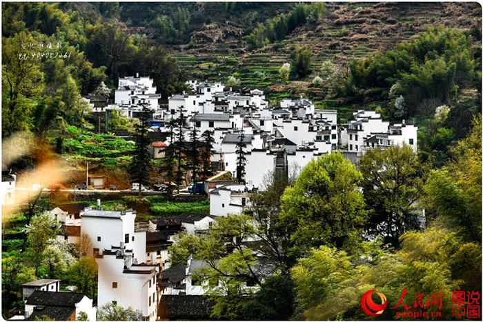 Scenery of rape blossoms in terraced fields in Jiangxi
