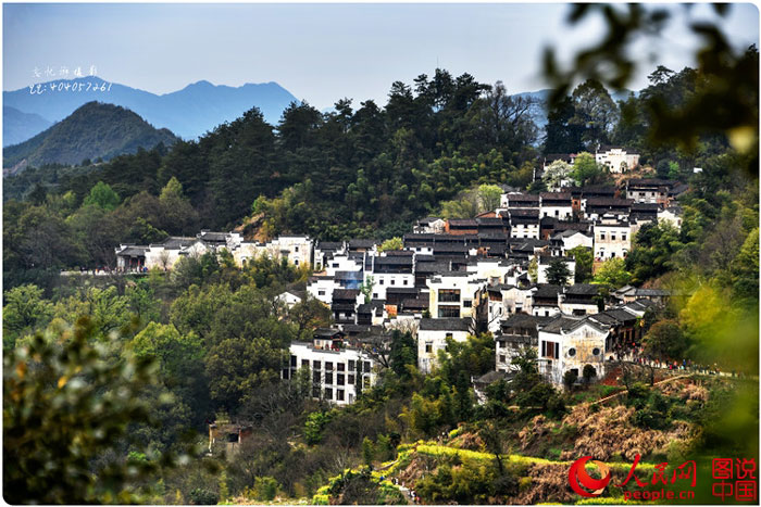 Scenery of rape blossoms in terraced fields in Jiangxi
