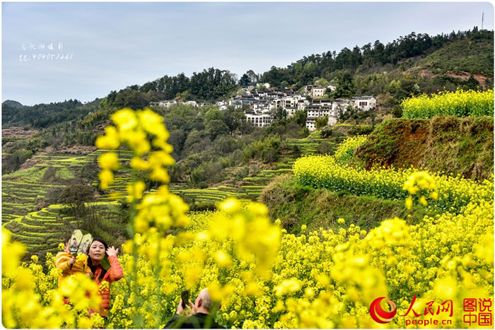 Scenery of rape blossoms in terraced fields in Jiangxi
