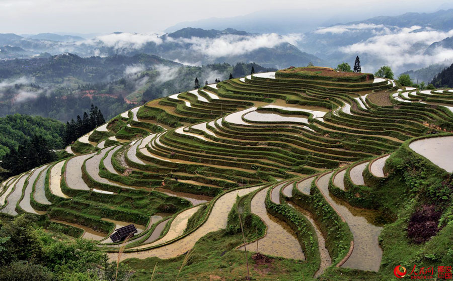 Intoxicating Yueliangshan terrace