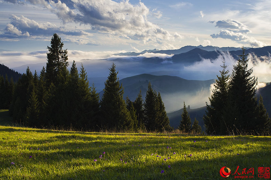 The breathtaking Aketasi grassland in NW ?China?'s Xinjiang