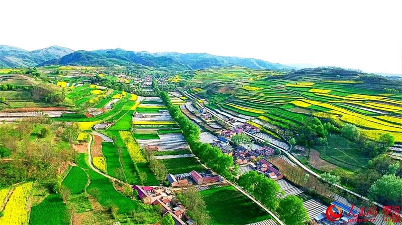 Aerial view of terraced fields in Gansu province