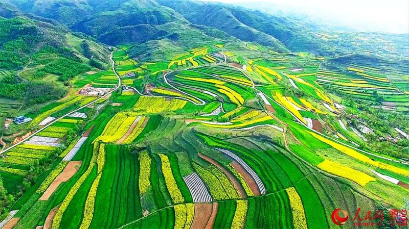 Aerial view of terraced fields in Gansu province