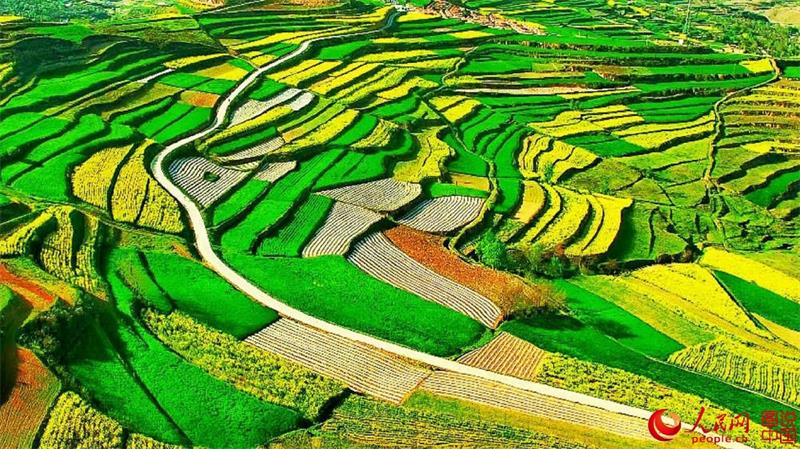 Aerial view of terraced fields in Gansu province