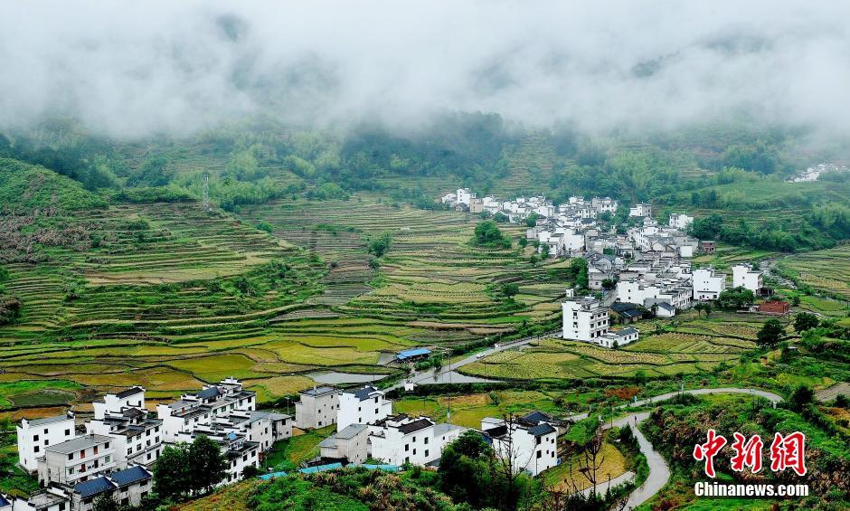 Fantastic view: China’s most beautiful villages in Wuyuan