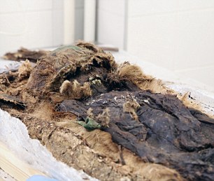 DNA tests help 800-year-old Siberian child mummy find his modern relatives