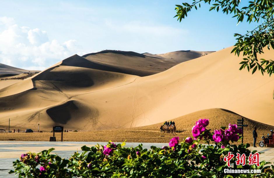 Picturesque view of city in the desert after rain