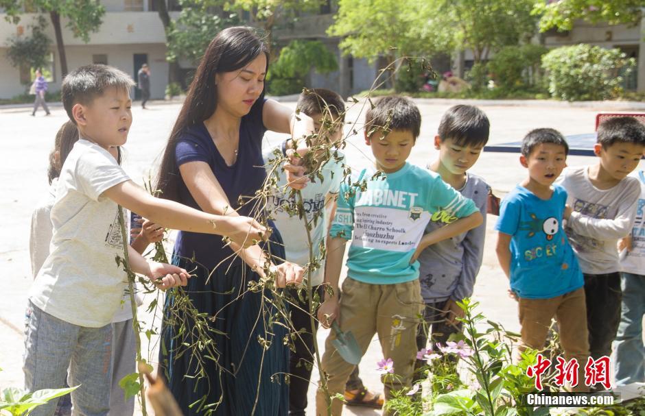 Young teacher sticks to position in rural school