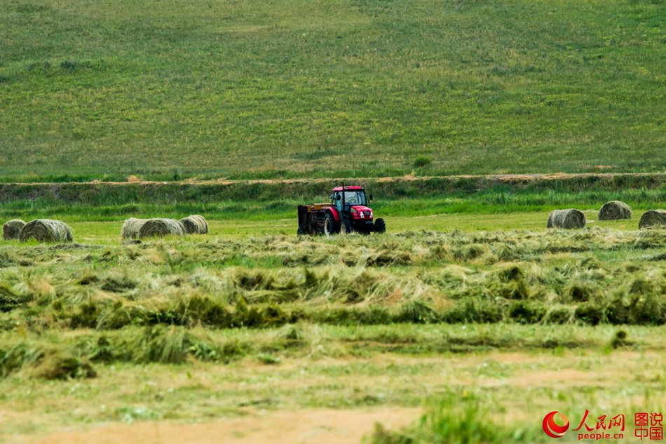 Breathtaking scenery of Hulun Buir grassland