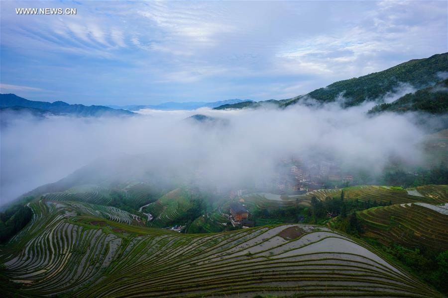 Terraces shrouded by clouds in south China's Guangxi