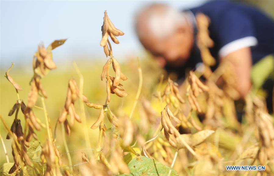 Autumn harvest seen in China