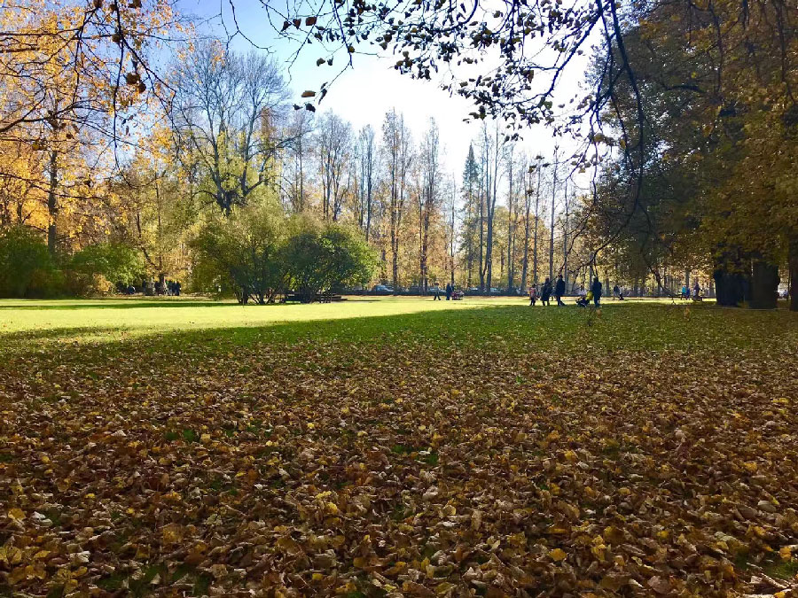 Citizens in Saint Petersburg enjoy autumnal beauty