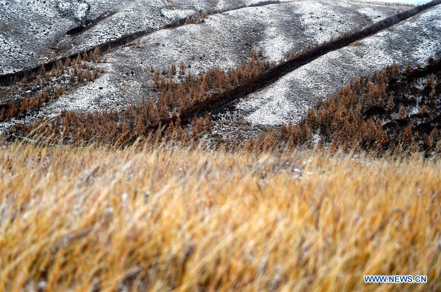 Scenery of snow-covered village houses and fields in China's Inner Mongolia