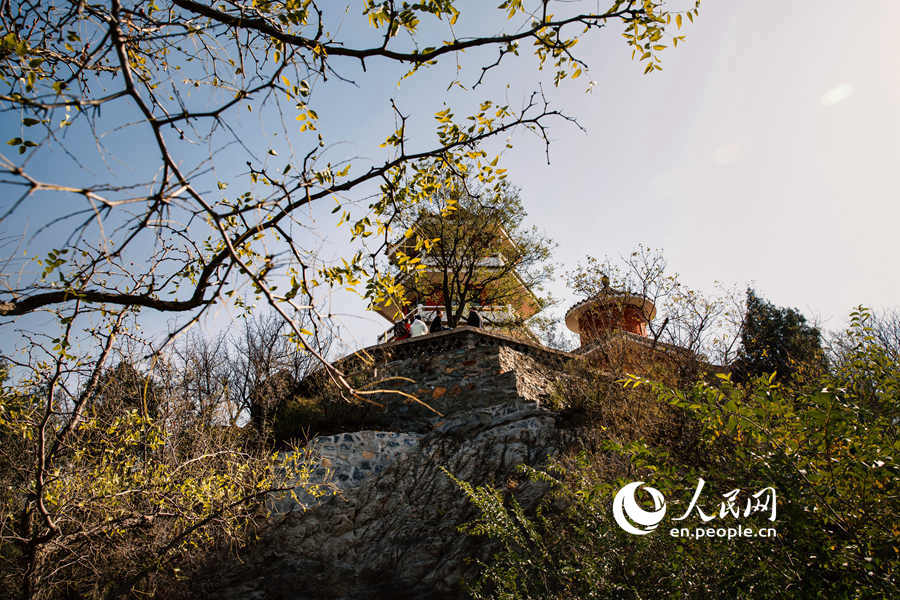 An autumn walk in Baiwangshan Forest Park