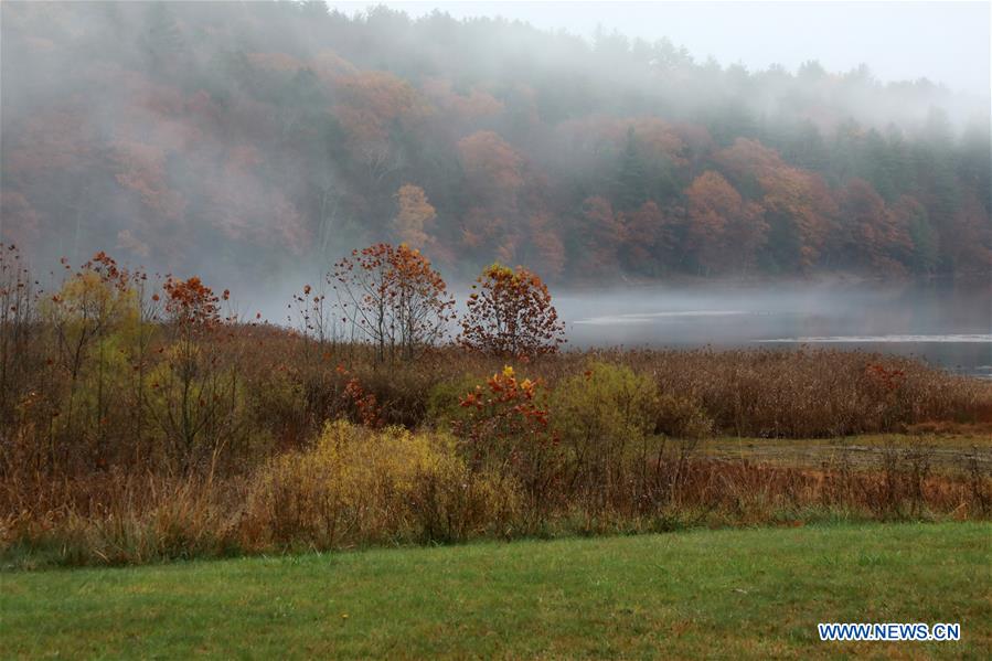 Autumn scenery in Vermont, U.S.