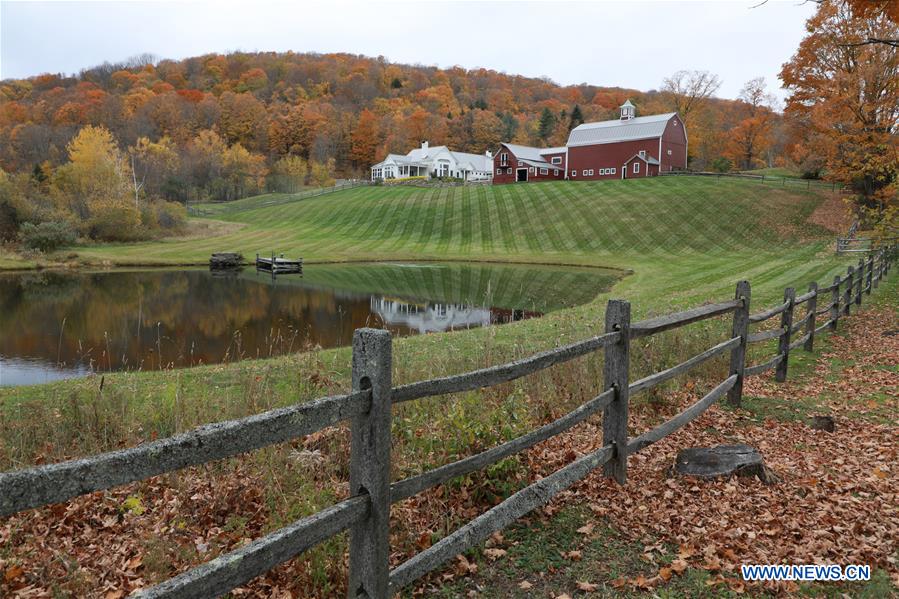 Autumn scenery in Vermont, U.S.