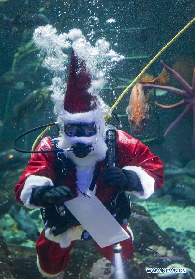 Scuba Claus Dive held in Vancouver