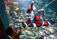 Scuba Claus Dive held in Vancouver