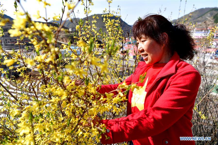 CHINA-SHANXI-TAIHANG MOUNTAIN REGION-POVERTY RELIEF (CN)