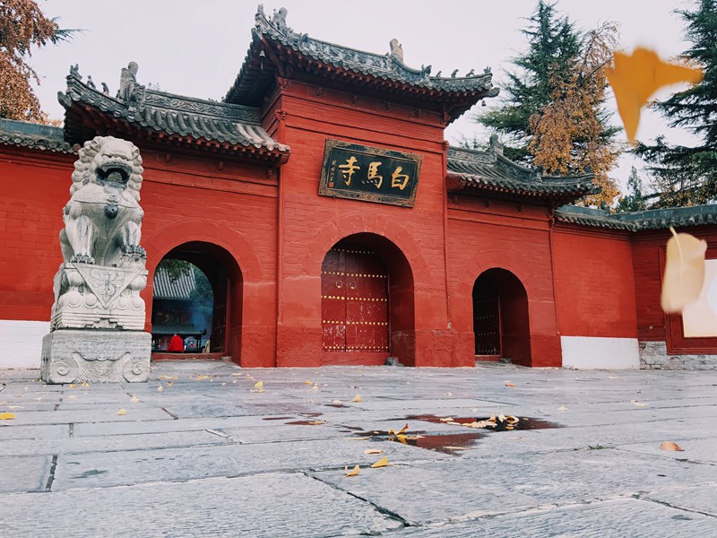 Millenniums of glory: Luoyang, oriental capital of culture and science