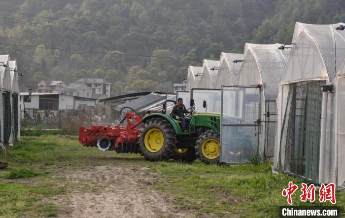 Digital technologies empower rural rejuvenation in Zhejiang