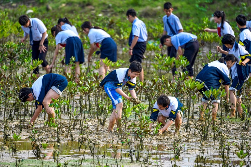 China vigorously promotes protection of marine biodiversity