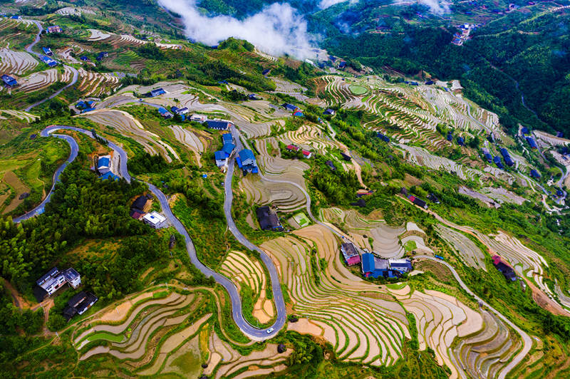 Terraced field in central China's Hunan boosts tourism, agriculture