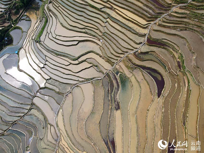 Honghe Hani Rice Terraces in SW China’s Yunnan: a masterpiece of the local people