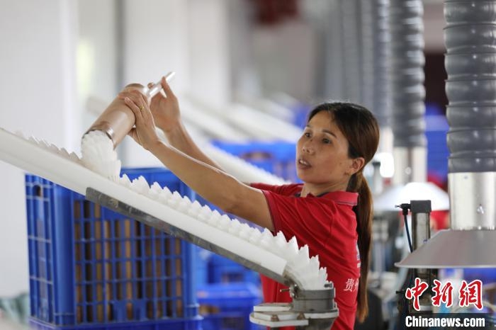 Goose feathers help spread the wings of industry in SW China’s Guizhou