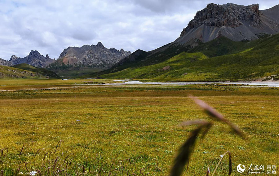 In pics: Beautiful scenery of Sanjiangyuan region in NW China's Qinghai