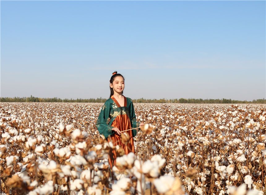 Fashion show held in cotton field in Xinjiang