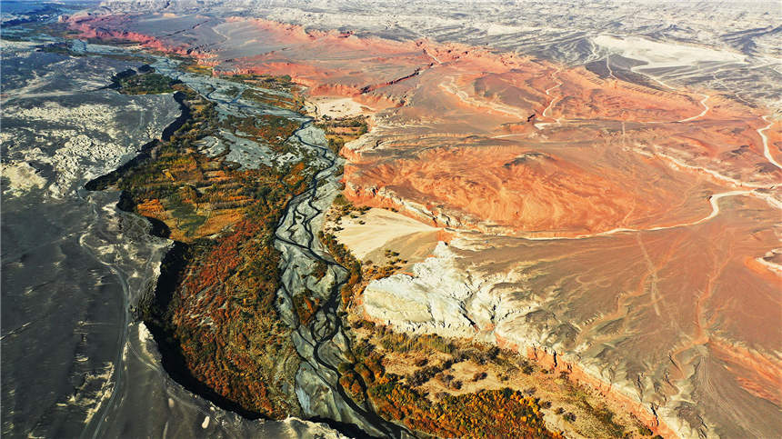 Autumn scenery of Red River Valley in NW China's Xinjiang