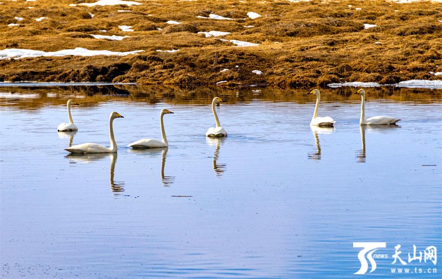 Enchanted winter scenery of Barkol, NW China's Xinjiang in early spring