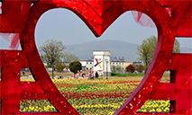 Tourists view tulips in Suiping County, Henan