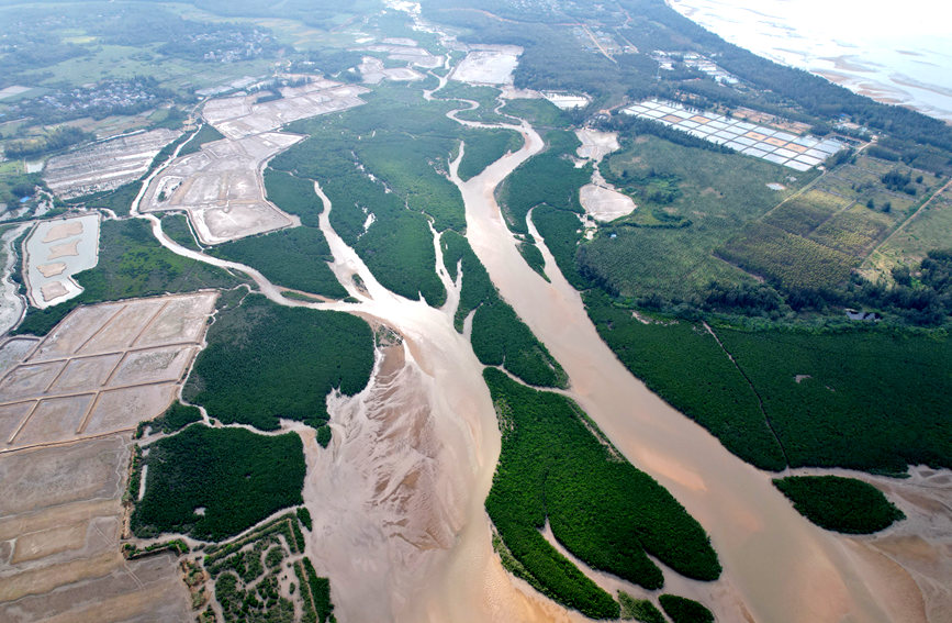 Explore the charming scenery of wetlands in south China's Hainan