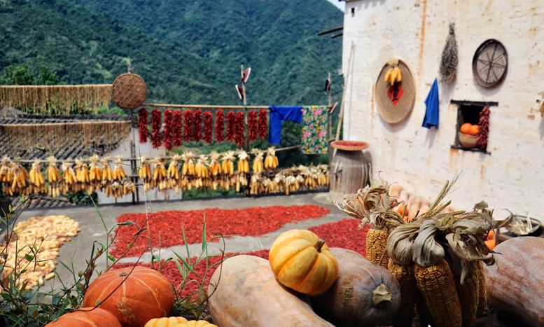 Villagers dry crops in the sun in Wuyuan, E China's Jiangxi