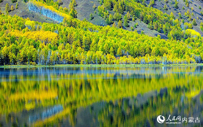 In pics: autumn scenery of Arxan city in Inner Mongolia