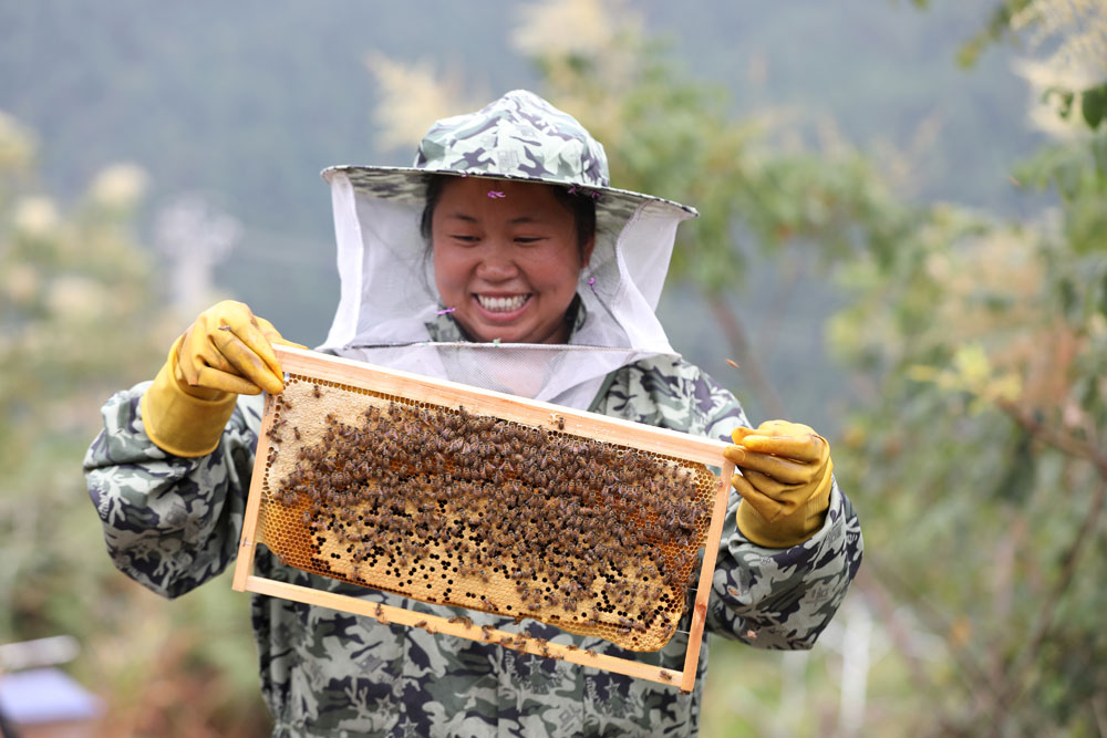 Bumper harvests bring big smiles to farmers across China