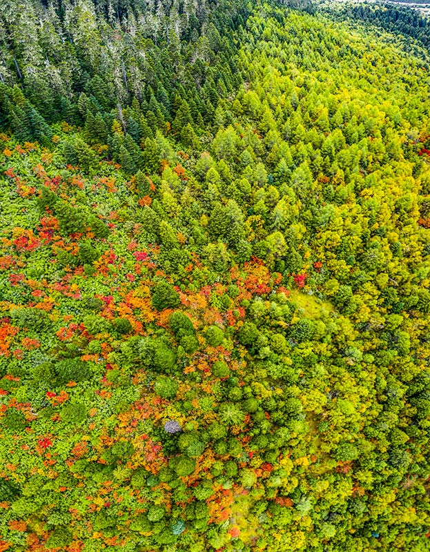 Beautiful autumn scenery of Potatso National Park in China's Yunnan