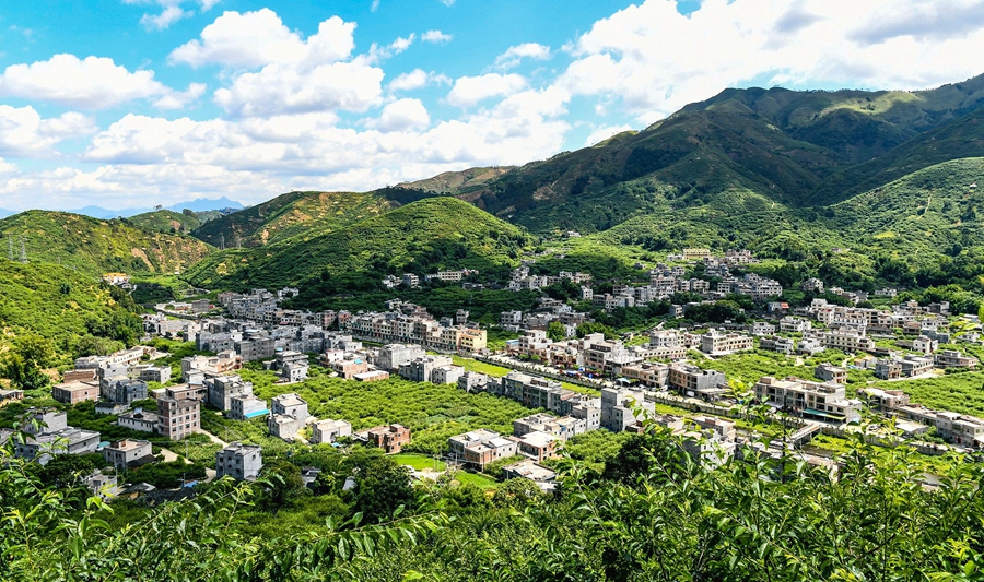 Three more cities in S China's Guangdong designated 'national forest cities'