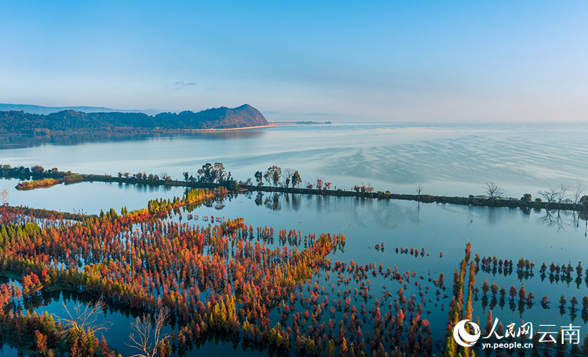 Wetland park in SW China's Yunnan offers picturesque scenery